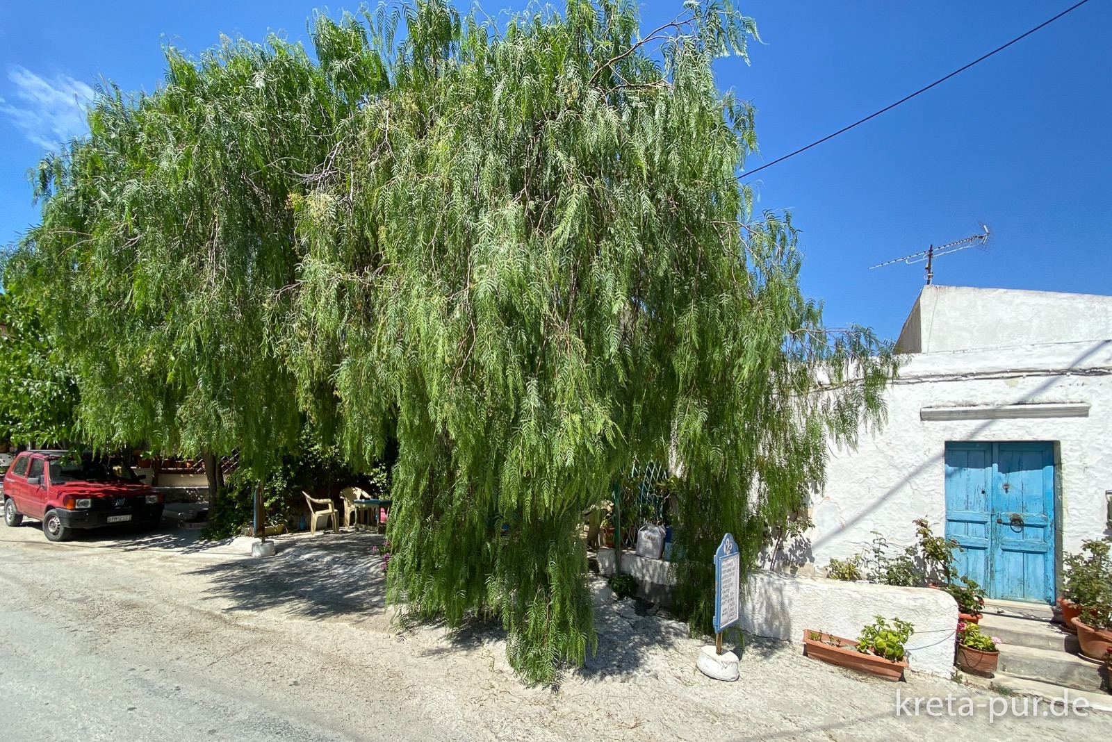 Kostas Kafenion in Sivas - hidden behind the pepper tree...